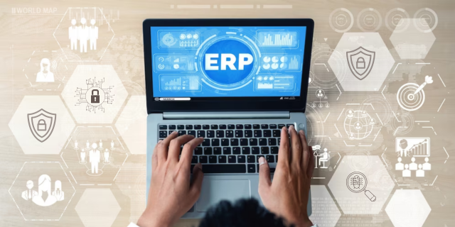 VA-PT of ERP Management System